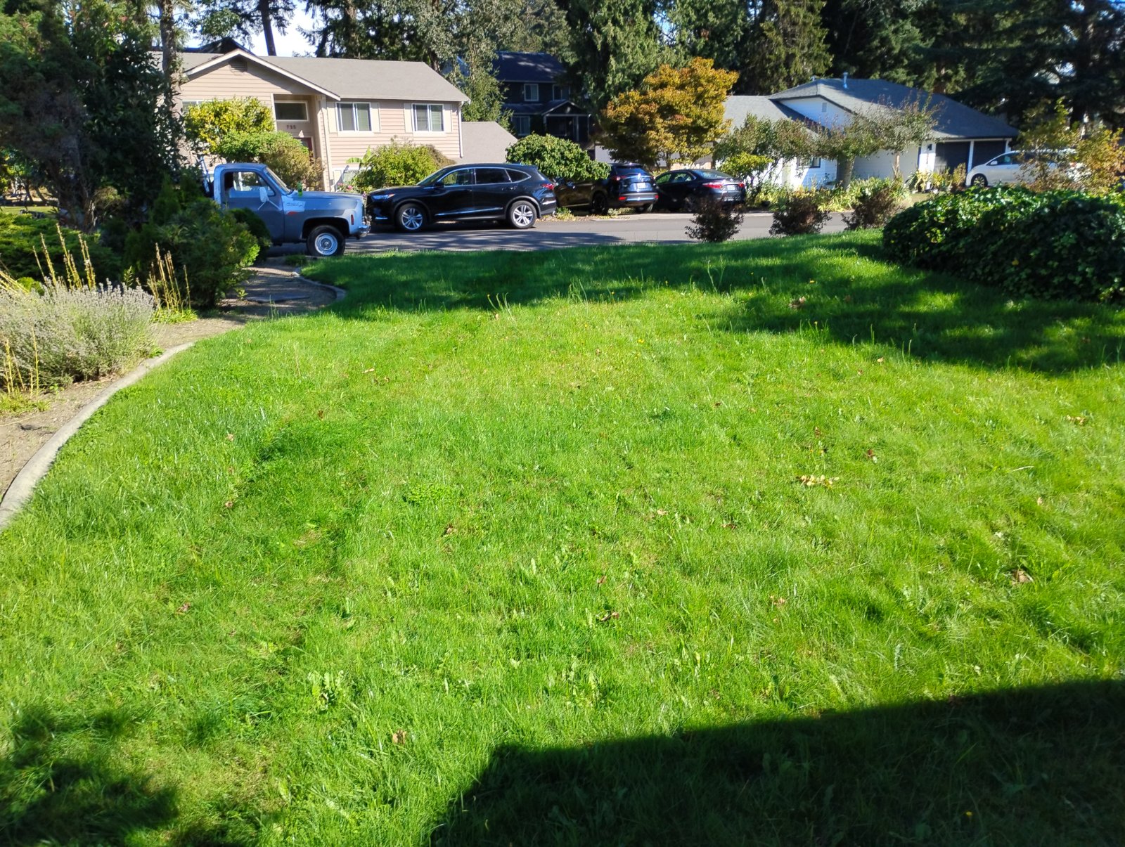 Dirt Nerds — fertilization & weed control project photo